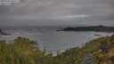 ./images/calvert/foggy-cove/20250604/foggy-cove20250604_063507M.jpg