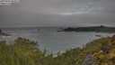 ./images/calvert/foggy-cove/20250604/foggy-cove20250604_064009M.jpg