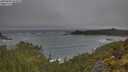 ./images/calvert/foggy-cove/20250604/foggy-cove20250604_064510M.jpg