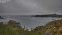 ./images/calvert/foggy-cove/20250604/foggy-cove20250604_071510M.jpg