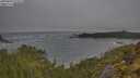 ./images/calvert/foggy-cove/20250604/foggy-cove20250604_072508M.jpg