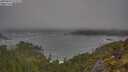 ./images/calvert/foggy-cove/20250604/foggy-cove20250604_073509M.jpg