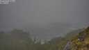 ./images/calvert/foggy-cove/20250604/foggy-cove20250604_080011M.jpg