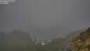./images/calvert/foggy-cove/20250604/foggy-cove20250604_080510M.jpg