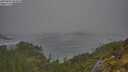 ./images/calvert/foggy-cove/20250604/foggy-cove20250604_083010M.jpg