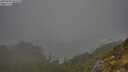 ./images/calvert/foggy-cove/20250604/foggy-cove20250604_083510M.jpg