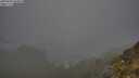 ./images/calvert/foggy-cove/20250604/foggy-cove20250604_084010M.jpg