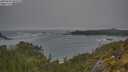 ./images/calvert/foggy-cove/20250604/foggy-cove20250604_085010M.jpg