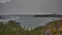 ./images/calvert/foggy-cove/20250604/foggy-cove20250604_091509M.jpg