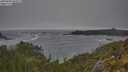 ./images/calvert/foggy-cove/20250604/foggy-cove20250604_092009M.jpg