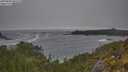 ./images/calvert/foggy-cove/20250604/foggy-cove20250604_092508M.jpg