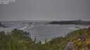 ./images/calvert/foggy-cove/20250604/foggy-cove20250604_093011M.jpg