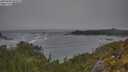 ./images/calvert/foggy-cove/20250604/foggy-cove20250604_093508M.jpg