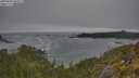 ./images/calvert/foggy-cove/20250604/foggy-cove20250604_095507M.jpg