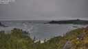 ./images/calvert/foggy-cove/20250604/foggy-cove20250604_100009M.jpg