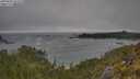 ./images/calvert/foggy-cove/20250604/foggy-cove20250604_101010M.jpg