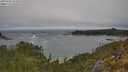 ./images/calvert/foggy-cove/20250604/foggy-cove20250604_102008M.jpg