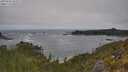 ./images/calvert/foggy-cove/20250604/foggy-cove20250604_103509M.jpg