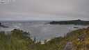 ./images/calvert/foggy-cove/20250604/foggy-cove20250604_104007M.jpg
