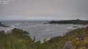 ./images/calvert/foggy-cove/20250604/foggy-cove20250604_104508M.jpg
