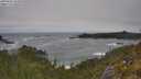 ./images/calvert/foggy-cove/20250604/foggy-cove20250604_105010M.jpg