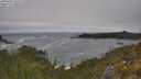 ./images/calvert/foggy-cove/20250604/foggy-cove20250604_105509M.jpg