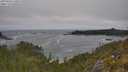 ./images/calvert/foggy-cove/20250604/foggy-cove20250604_110012M.jpg