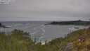 ./images/calvert/foggy-cove/20250604/foggy-cove20250604_110509M.jpg