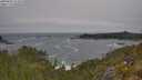 ./images/calvert/foggy-cove/20250604/foggy-cove20250604_111008M.jpg
