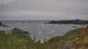 ./images/calvert/foggy-cove/20250604/foggy-cove20250604_112009M.jpg