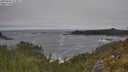./images/calvert/foggy-cove/20250604/foggy-cove20250604_113011M.jpg