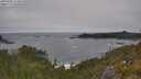 ./images/calvert/foggy-cove/20250604/foggy-cove20250604_114010M.jpg