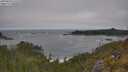 ./images/calvert/foggy-cove/20250604/foggy-cove20250604_115509M.jpg