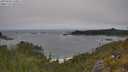 ./images/calvert/foggy-cove/20250604/foggy-cove20250604_120011M.jpg