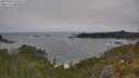 ./images/calvert/foggy-cove/20250604/foggy-cove20250604_120510M.jpg