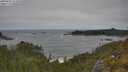 ./images/calvert/foggy-cove/20250604/foggy-cove20250604_121010M.jpg