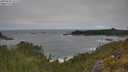./images/calvert/foggy-cove/20250604/foggy-cove20250604_121510M.jpg