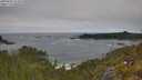 ./images/calvert/foggy-cove/20250604/foggy-cove20250604_122008M.jpg