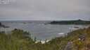 ./images/calvert/foggy-cove/20250604/foggy-cove20250604_122507M.jpg
