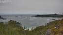 ./images/calvert/foggy-cove/20250604/foggy-cove20250604_125510M.jpg