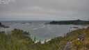 ./images/calvert/foggy-cove/20250604/foggy-cove20250604_130509M.jpg