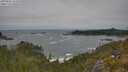 ./images/calvert/foggy-cove/20250604/foggy-cove20250604_131010M.jpg