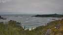./images/calvert/foggy-cove/20250604/foggy-cove20250604_131508M.jpg