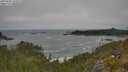 ./images/calvert/foggy-cove/20250604/foggy-cove20250604_133509M.jpg