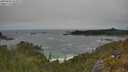 ./images/calvert/foggy-cove/20250604/foggy-cove20250604_134009M.jpg