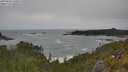 ./images/calvert/foggy-cove/20250604/foggy-cove20250604_140009M.jpg