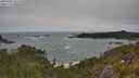 ./images/calvert/foggy-cove/20250604/foggy-cove20250604_141010M.jpg