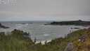 ./images/calvert/foggy-cove/20250604/foggy-cove20250604_143510M.jpg