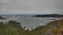 ./images/calvert/foggy-cove/20250604/foggy-cove20250604_144507M.jpg