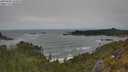 ./images/calvert/foggy-cove/20250604/foggy-cove20250604_145010M.jpg